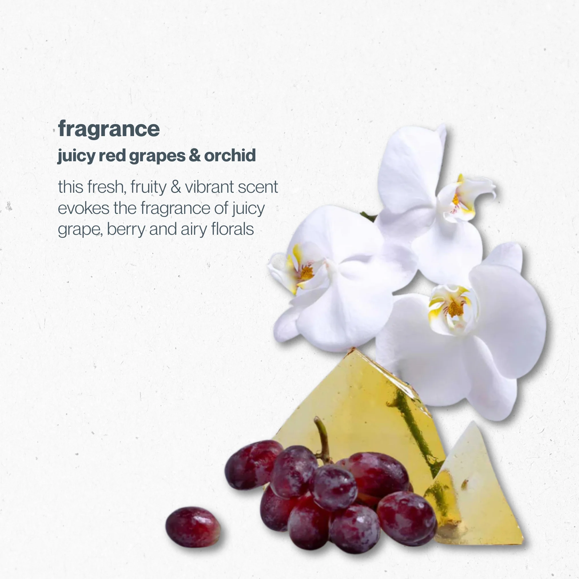 icy blond summer mini kit - Image 6